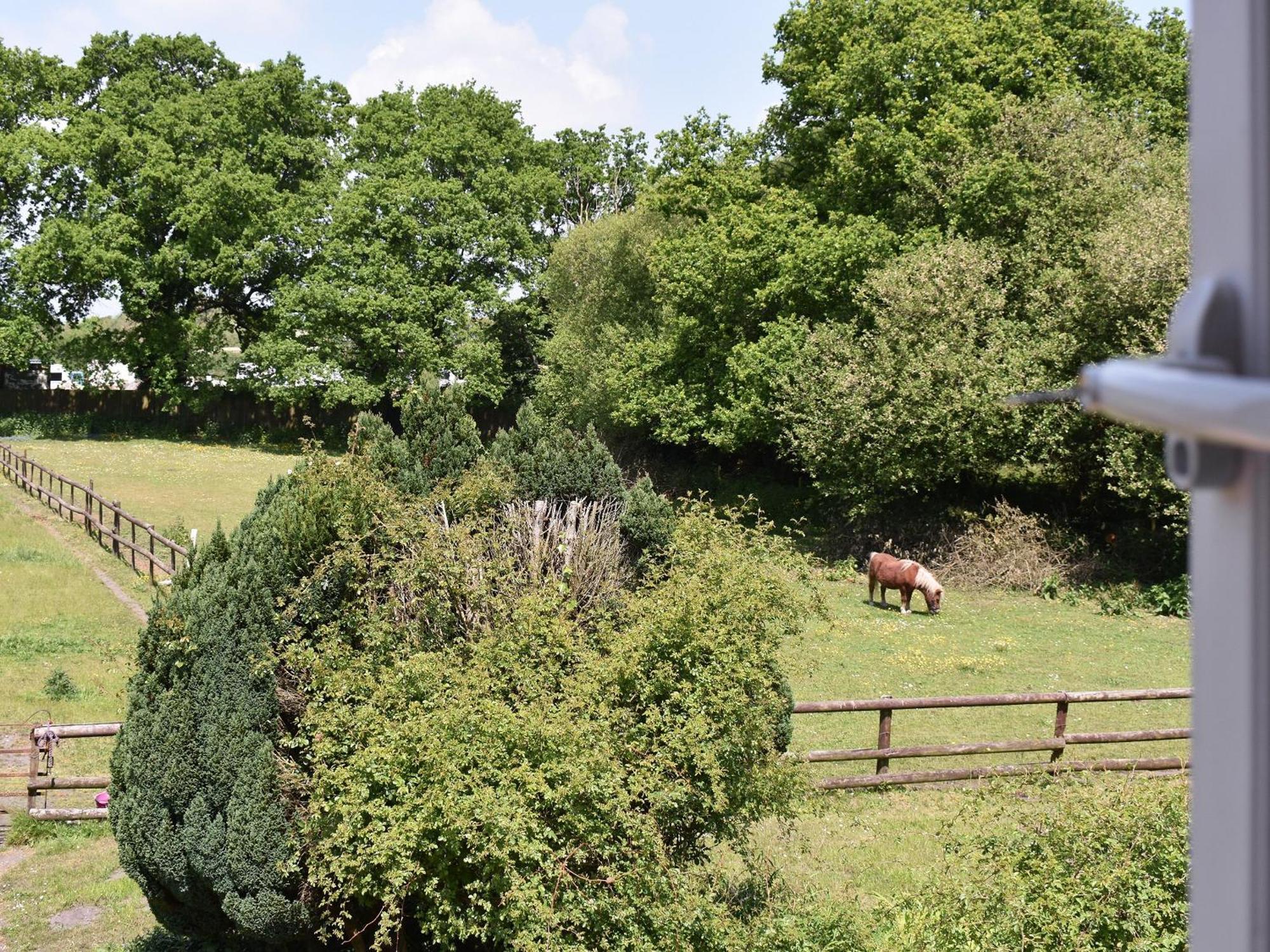 Saint Leonards Oakdene Lodge מראה חיצוני תמונה
